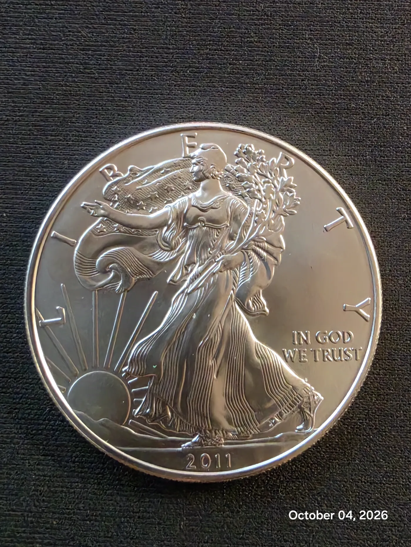 Silver Bullion category